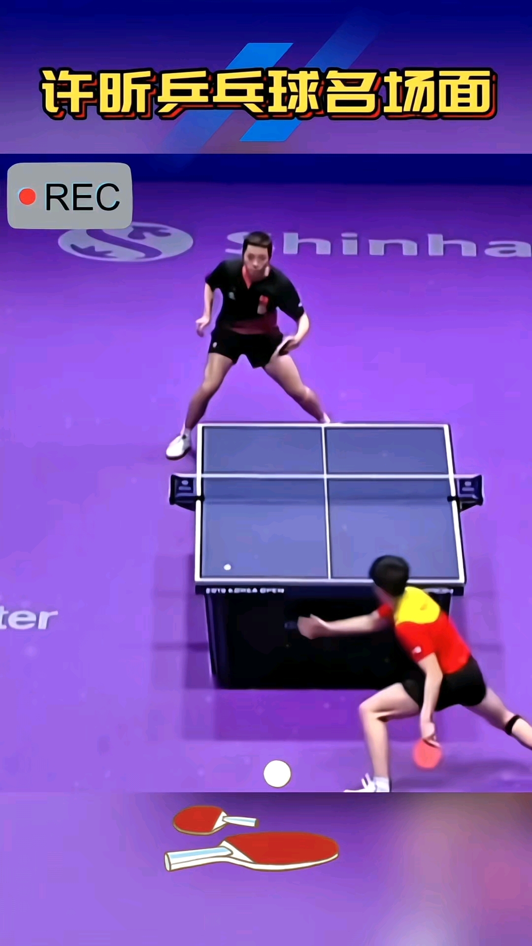 开云平台-关于法国乒乓球队血洗德国乒乓球队，许昕制霸全场的信息