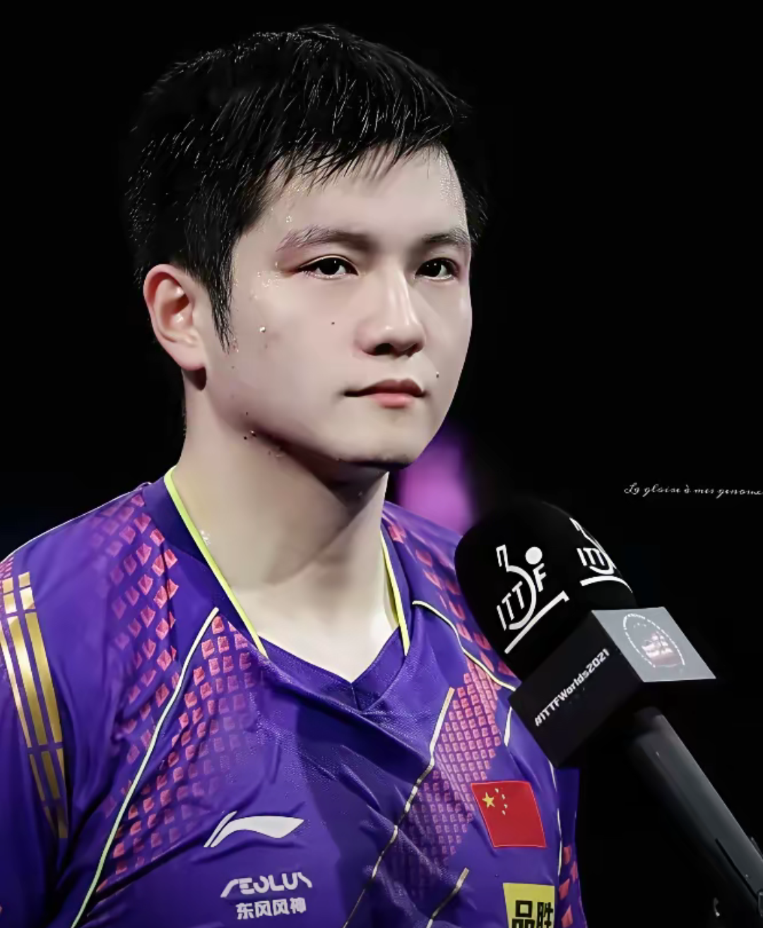 瑞典队完胜日本队，樊振东刷新纪录