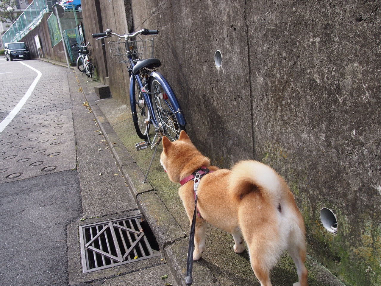绿茵对决，弗拉霍维奇重炮下的战术碾压与足球哲学的无声辩驳