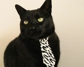 当浙江队闪耀NBA赛场，一场跨越太平洋的篮球文化碰撞与胜利