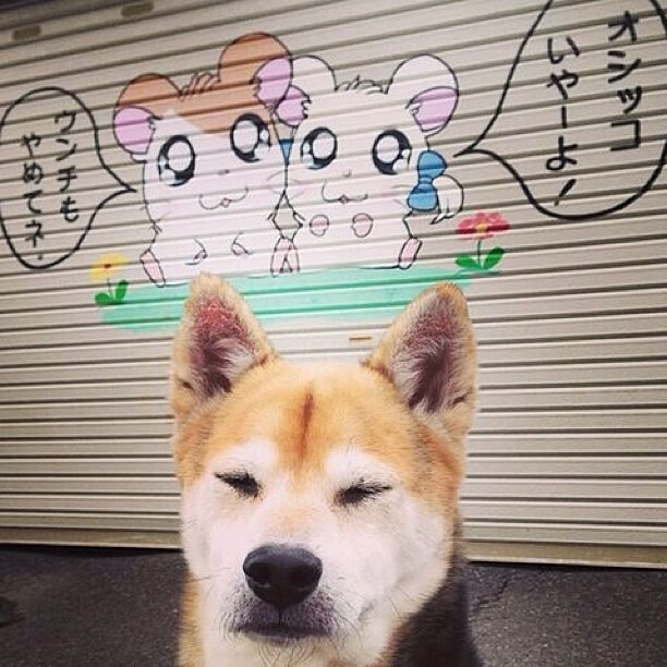 莫兰特上演教科书表演，黄蜂单节暴走拉开火箭，新生代控卫的华丽宣言