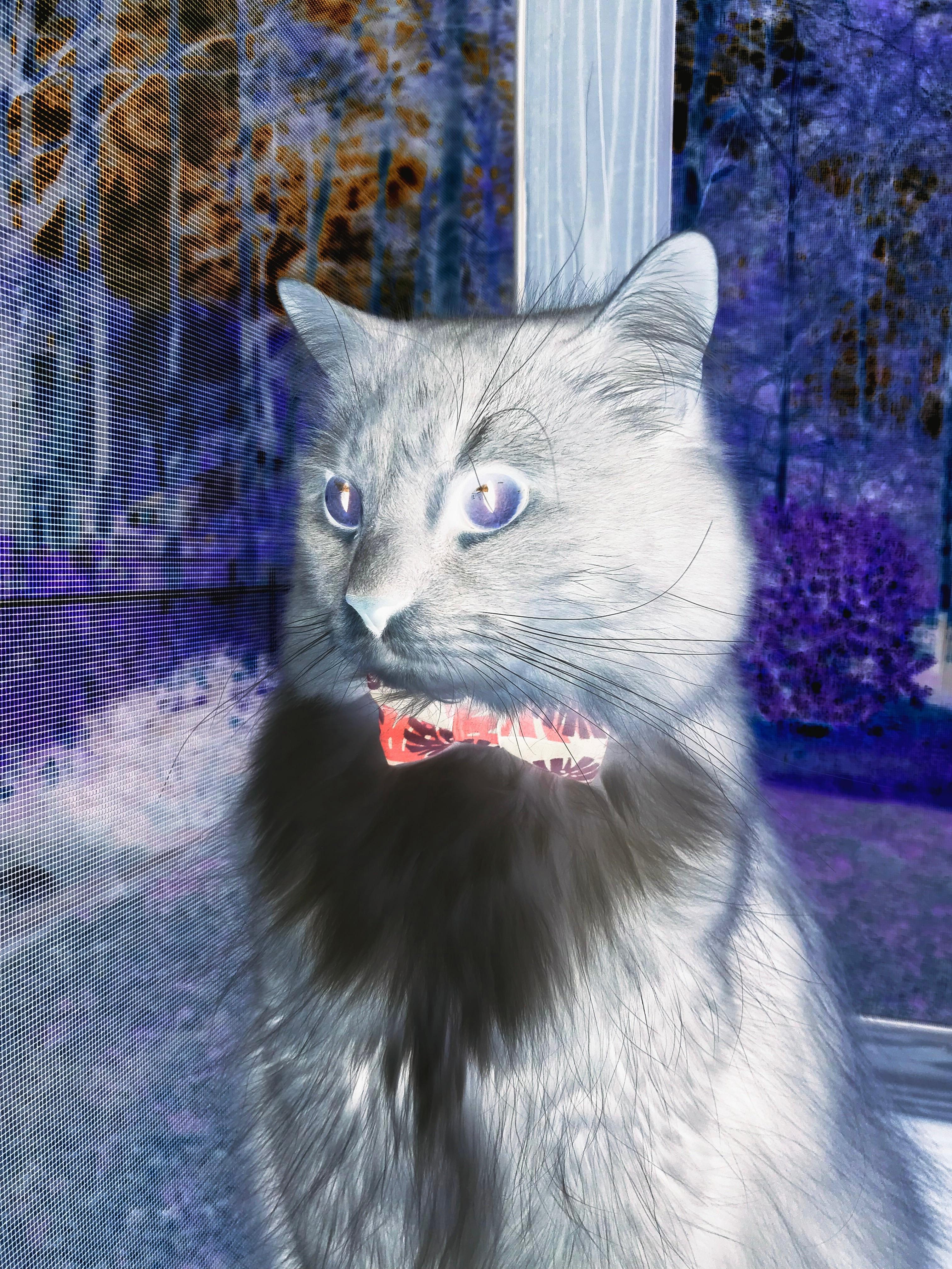 布伦森主导攻防转换，勇士团队协作击败掘金