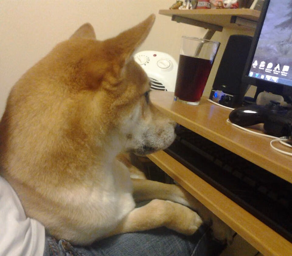 绿茵上的孤星，当萨拉赫的价值照见威尔士与伊朗的鏖战