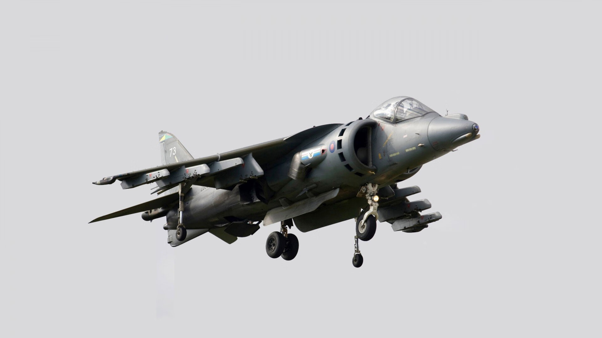 红黑军团决胜塞内加尔，魔笛焦点战展现实力