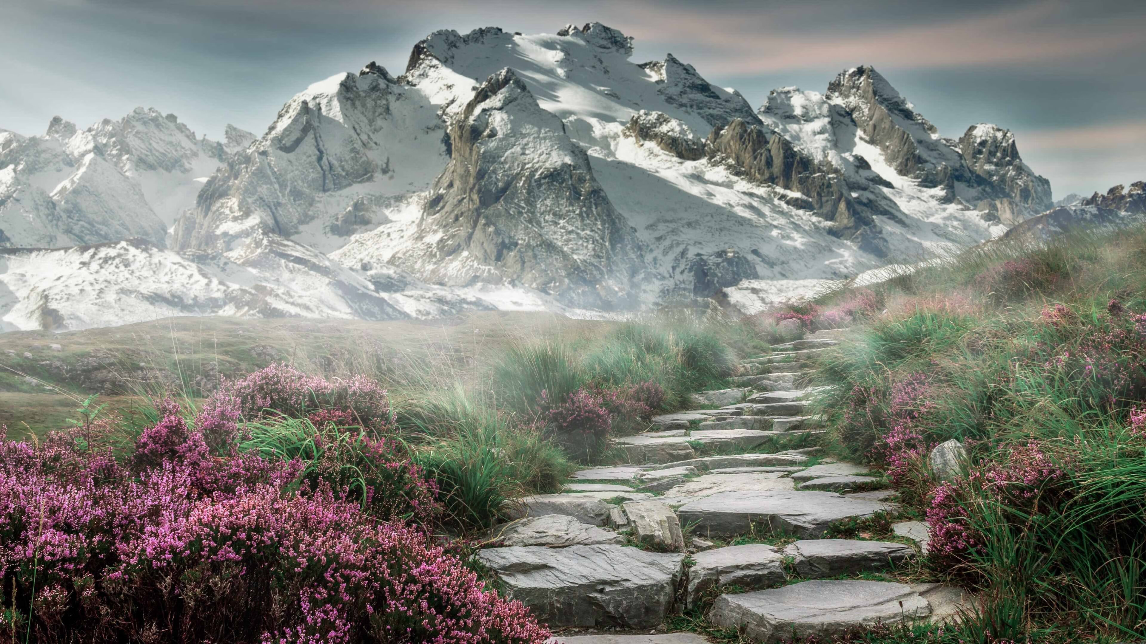 跨域狂胜与接管，当开拓者轰塌王权，哈利伯顿在绿茵场加冕