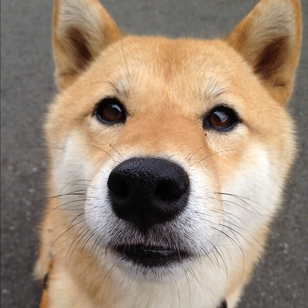 佩德里，跨越大陆的节拍器，一场虚构对决中的真实足球哲学