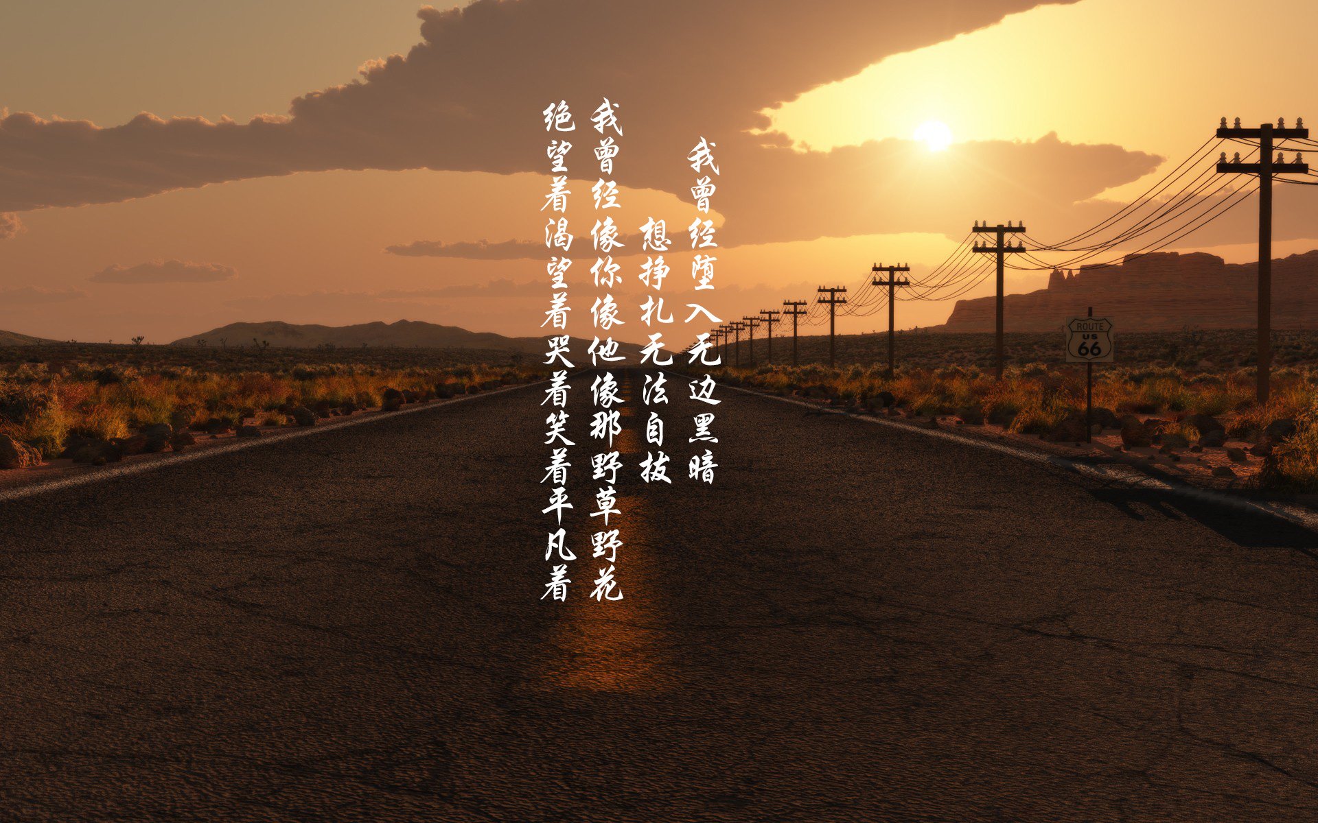 奥斯梅恩一锤定音显神威，玻利维亚高压战术克加拿大