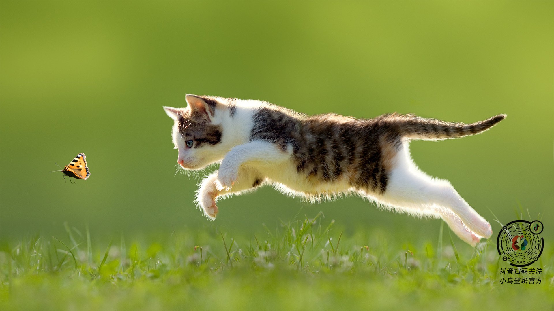 铁闸封路，乔治窒息式防守引领篮网攻克猛龙