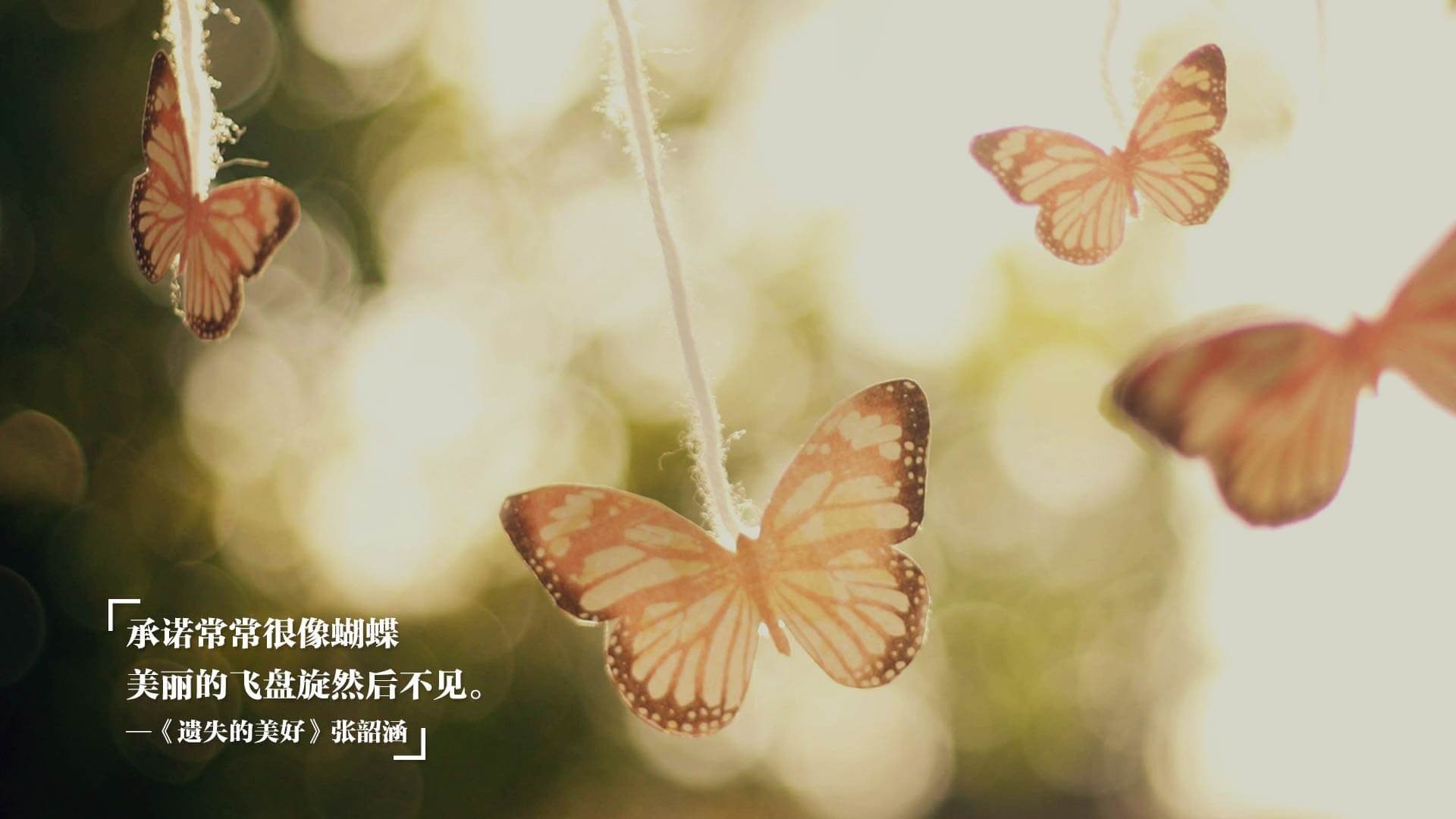 开云体育中国-教科书式防守与沙漠利刃，斯通斯的定海神针与沙特足球的横扫宣言