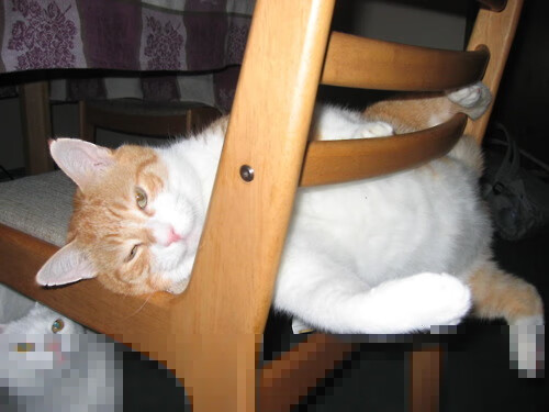 开云体育中国-迟暮之年的棋子，莫德里奇用一记不可能传球震碎皇马战车