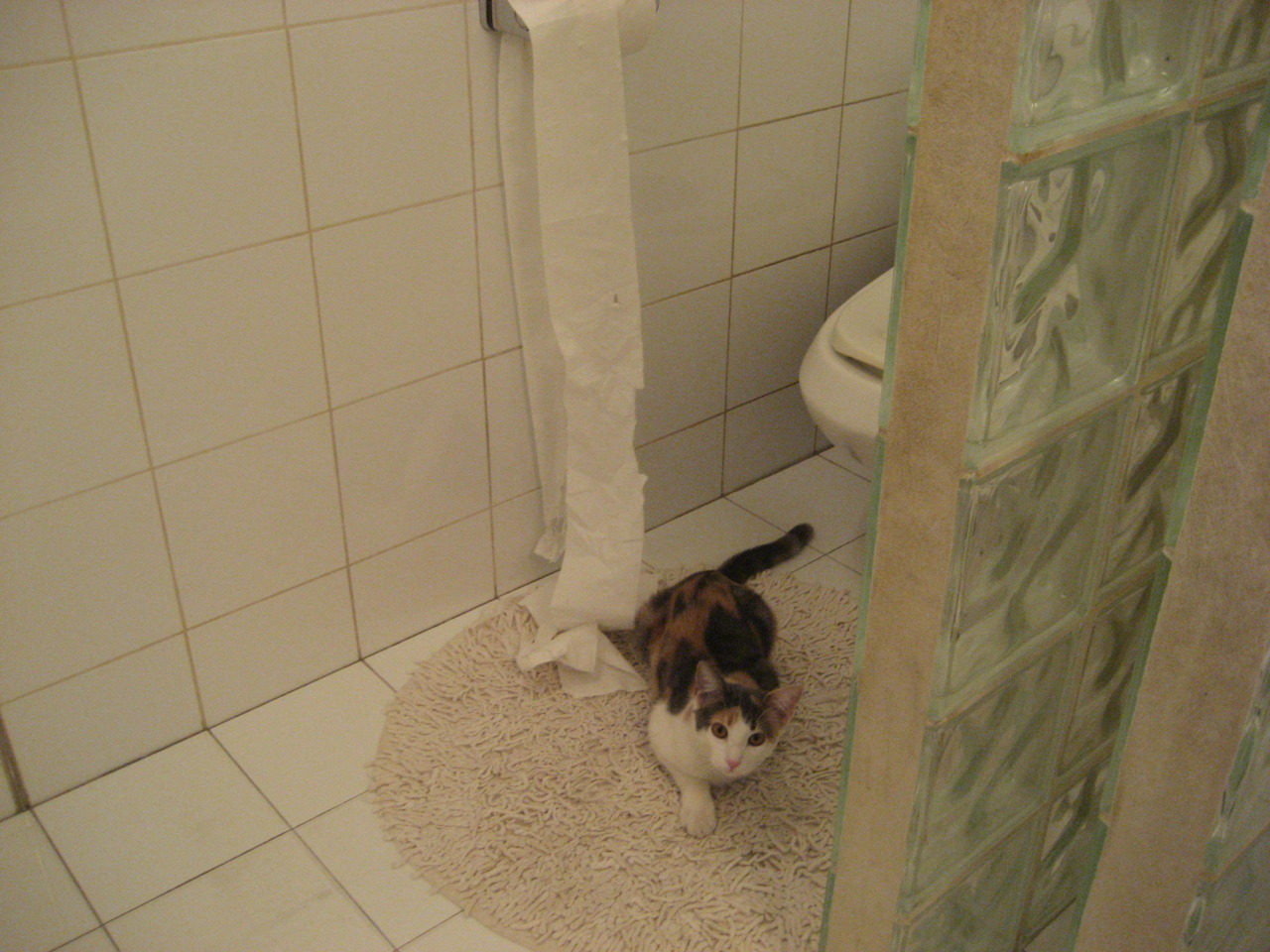 开云体育平台APP-乔丹对决巴克利，1991年总决赛首战，76人力克公牛纪实