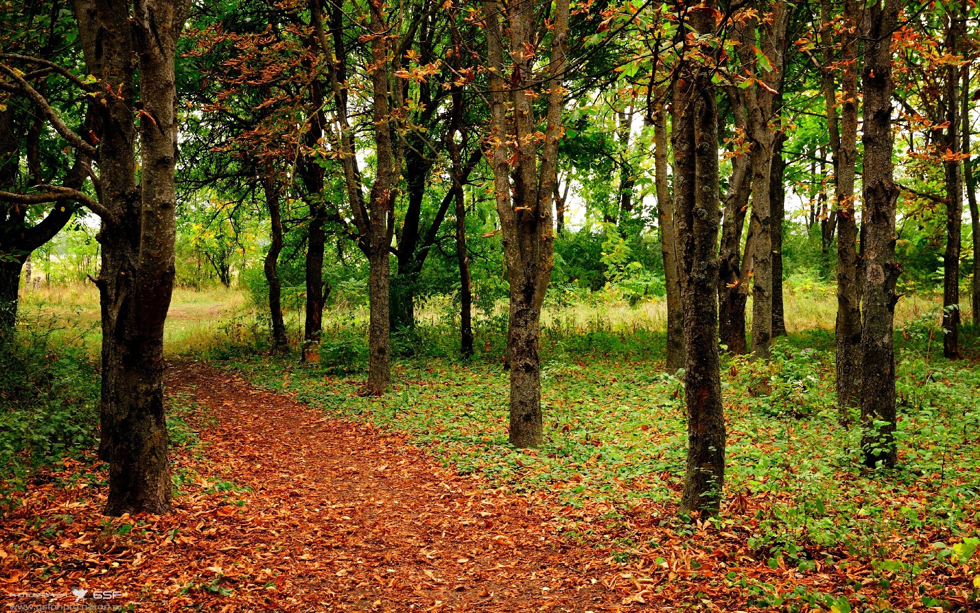 杜兰特惊艳四座，辽宁队强势拿下猛龙—篮球跨界对决的辉煌时刻