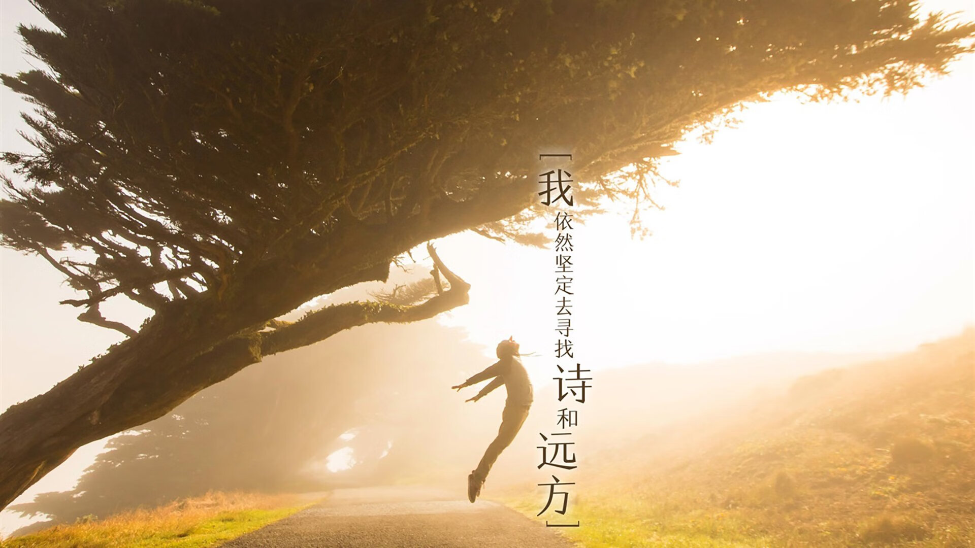 月光下的新王，爱德华兹欧冠决赛夜加冕