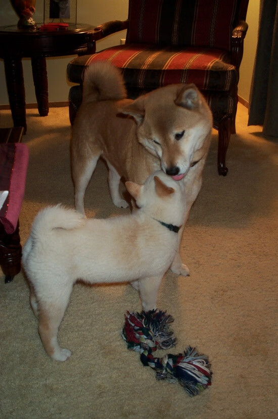 莫德里奇大师级爆发震撼足坛,挪威强势击溃巴拉圭宣告崛起