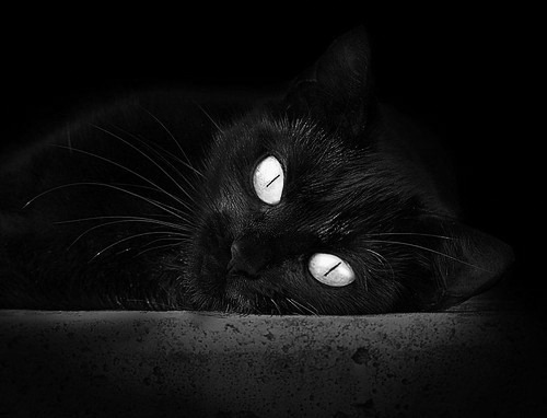 开云下载-统治级表现！卡瓦哈尔率队谱写丹麦与加拿大的绿茵终章