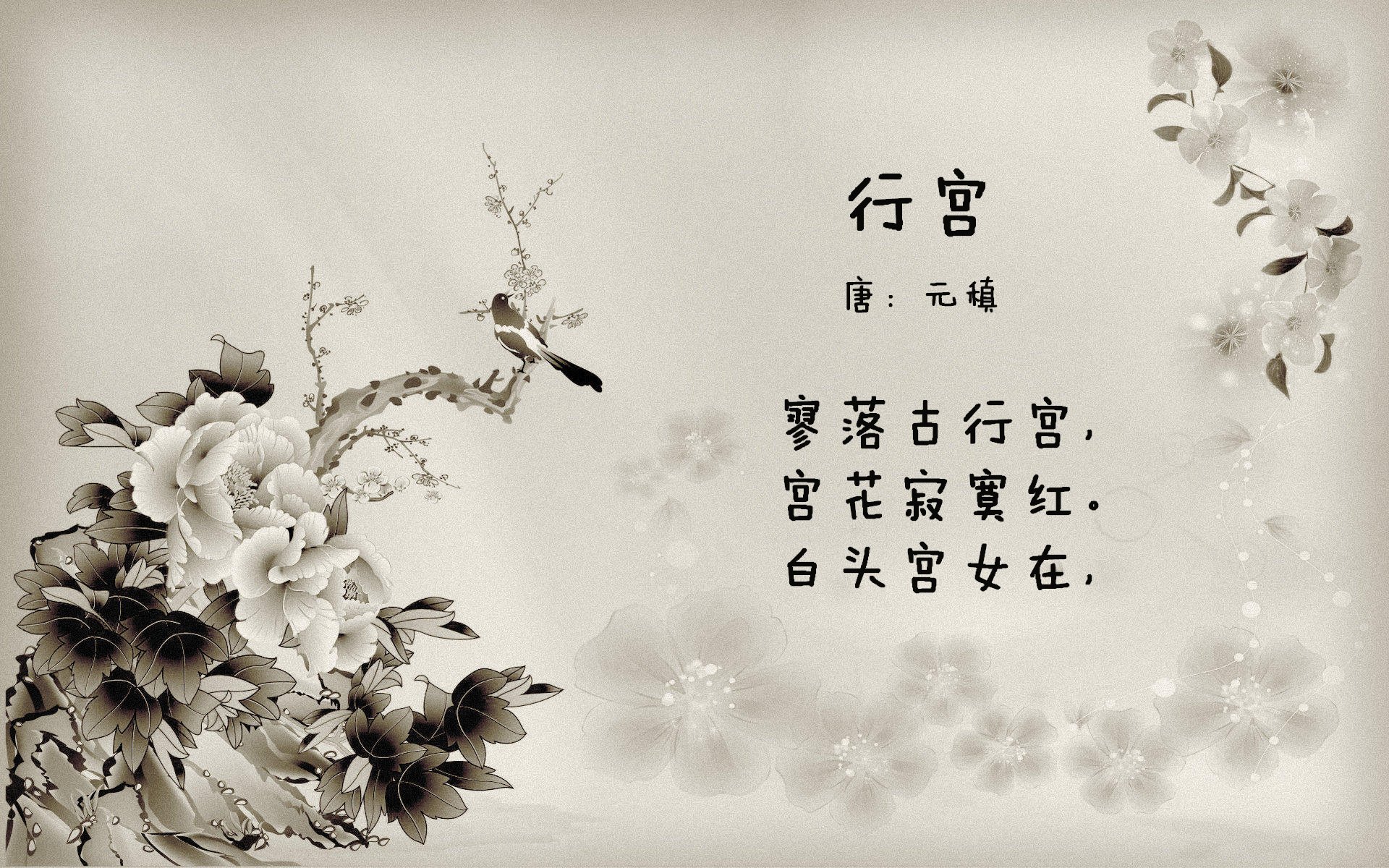 西甲风云,国家德比的喧嚣之外,皇家社会用胜利谱写争冠变奏曲