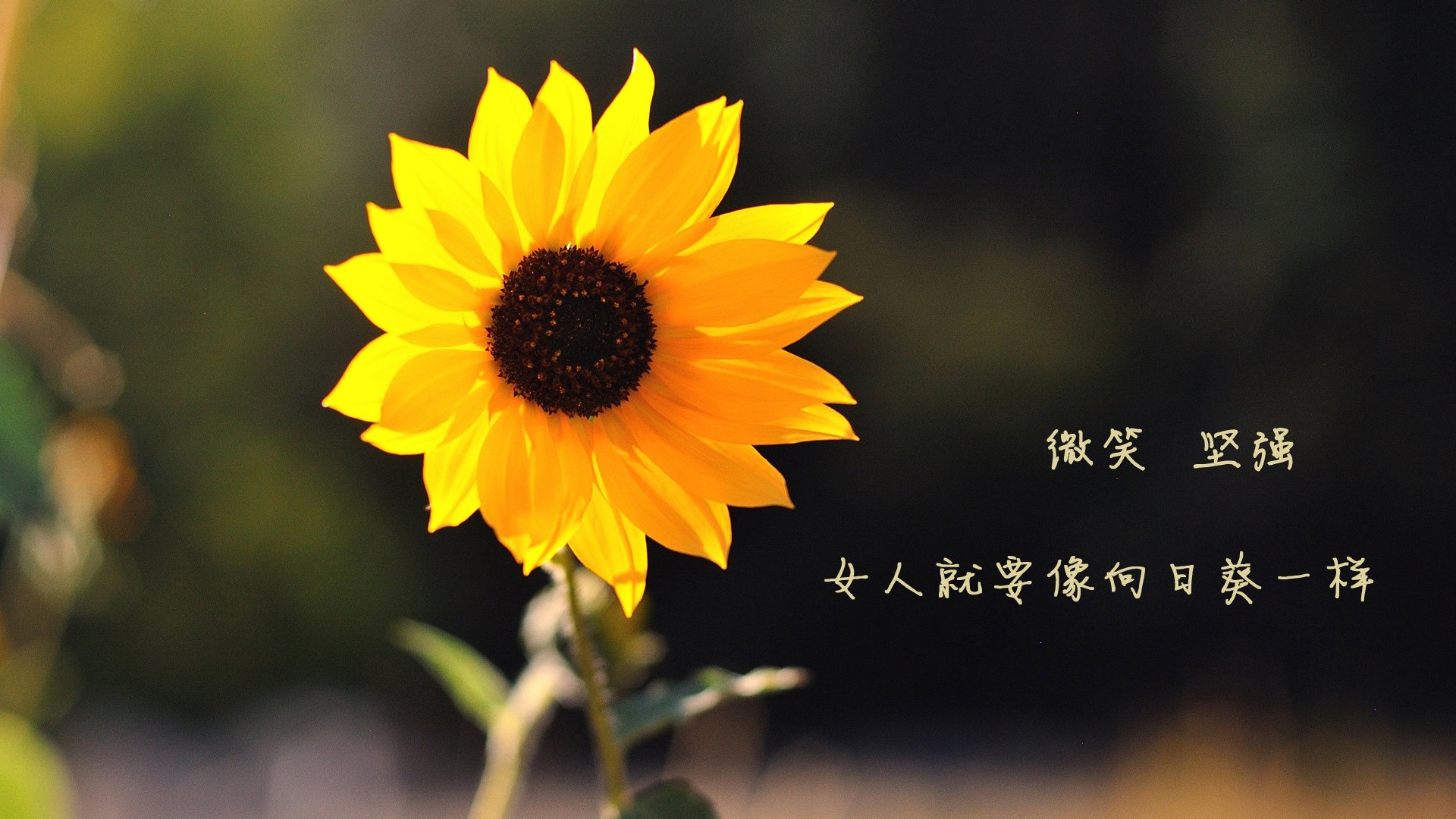 那一刻,时间为他凝固,拉文用7记连续得分撕裂黑夜