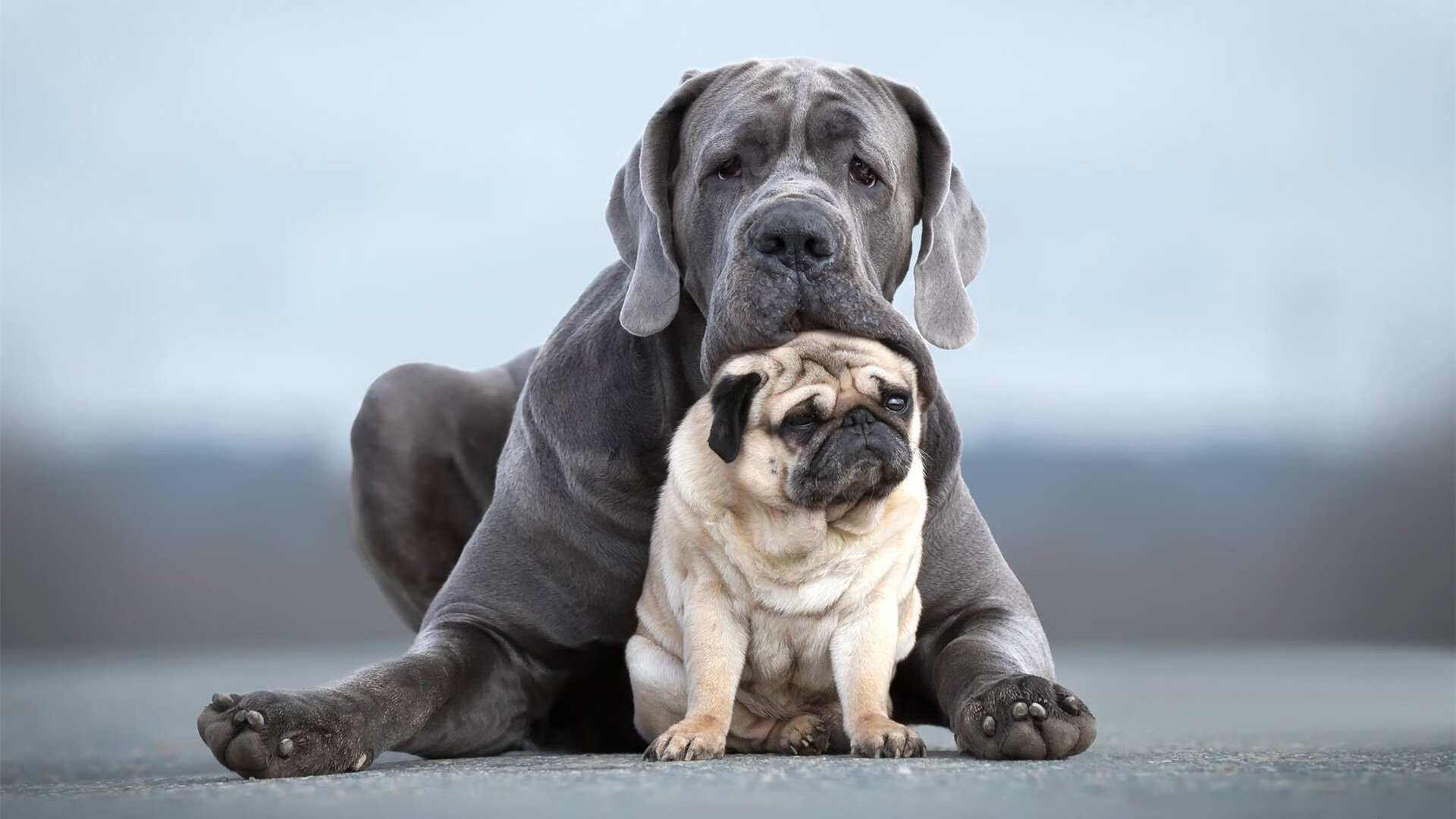 开云体育APP下载-F1街道赛焦点战与毕尔巴鄂逆转曼城，体育竞技中逆转奇迹的双重奏