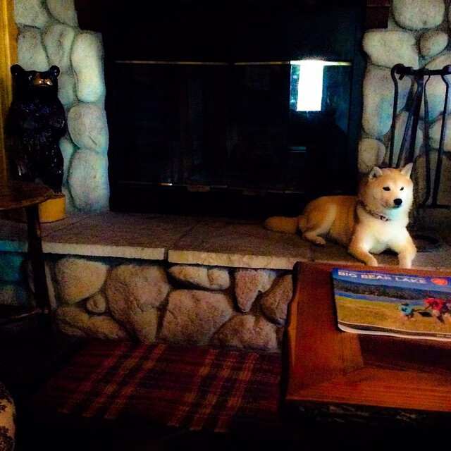 西甲国家德比焦点战外的欧洲风云，马赛加时鏖战力克阿森纳