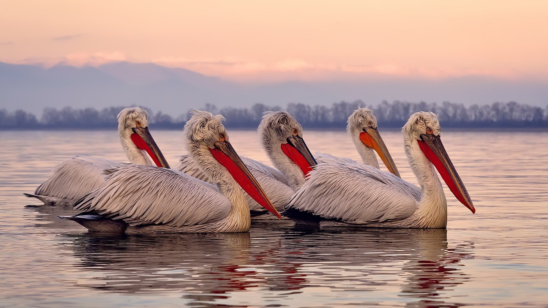 生死一投！拉文三分绝杀太阳，湖人惊险过关