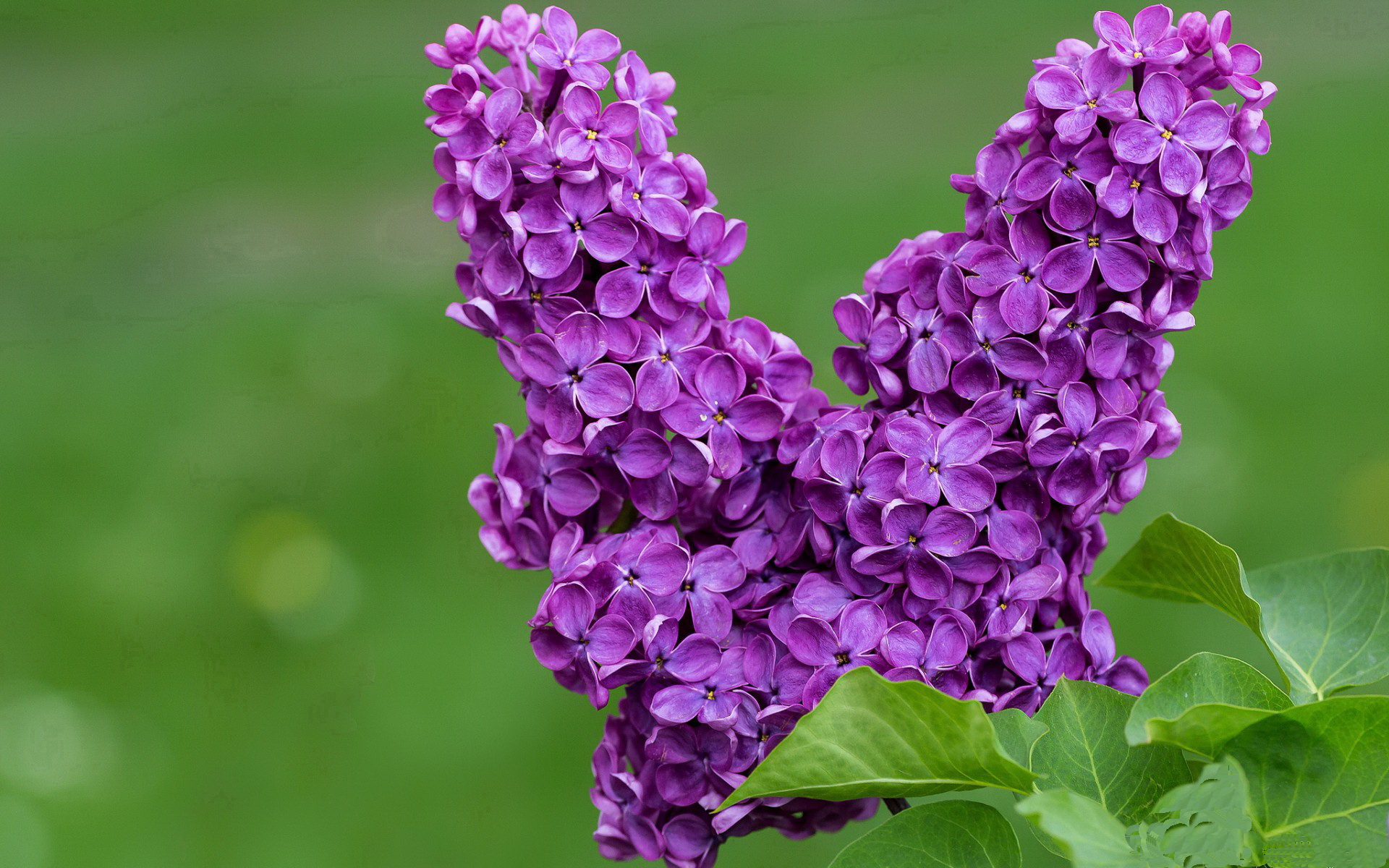 开云体育-全盘操控到致命一击，迪亚斯运筹帷幄，挪威绝境屠龙