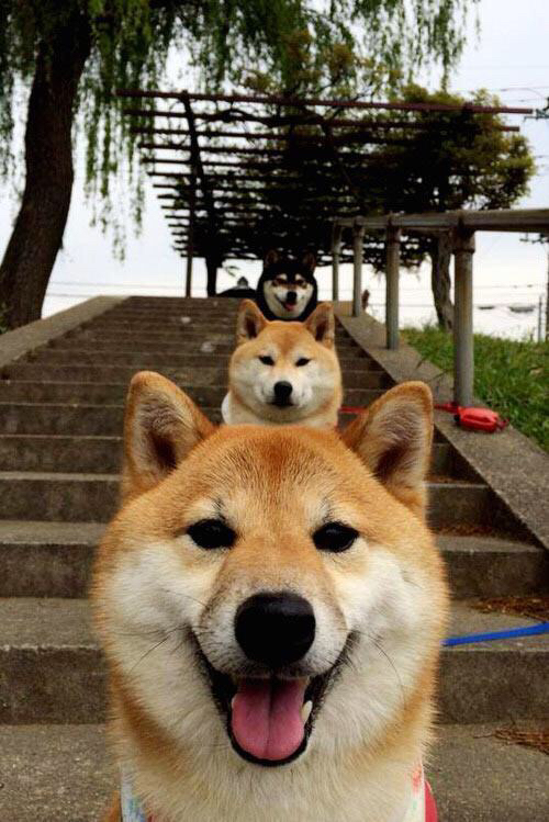 银枪惊世仍败阵 铁壁合围终扬威